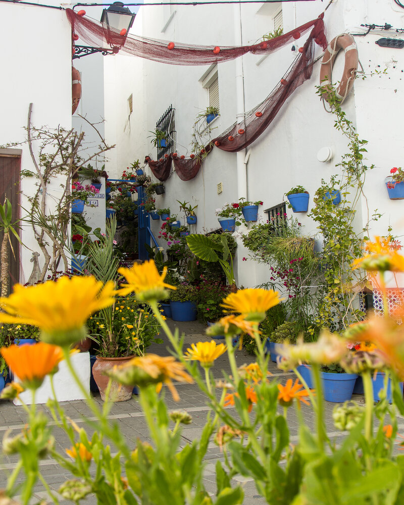 Visita el famoso barrio de los pescadores de Conil