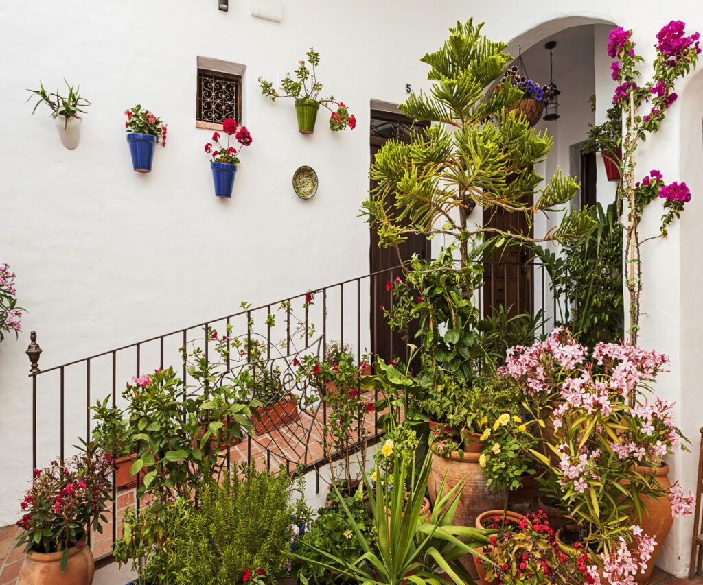 Patio con flores que da la bienvenida